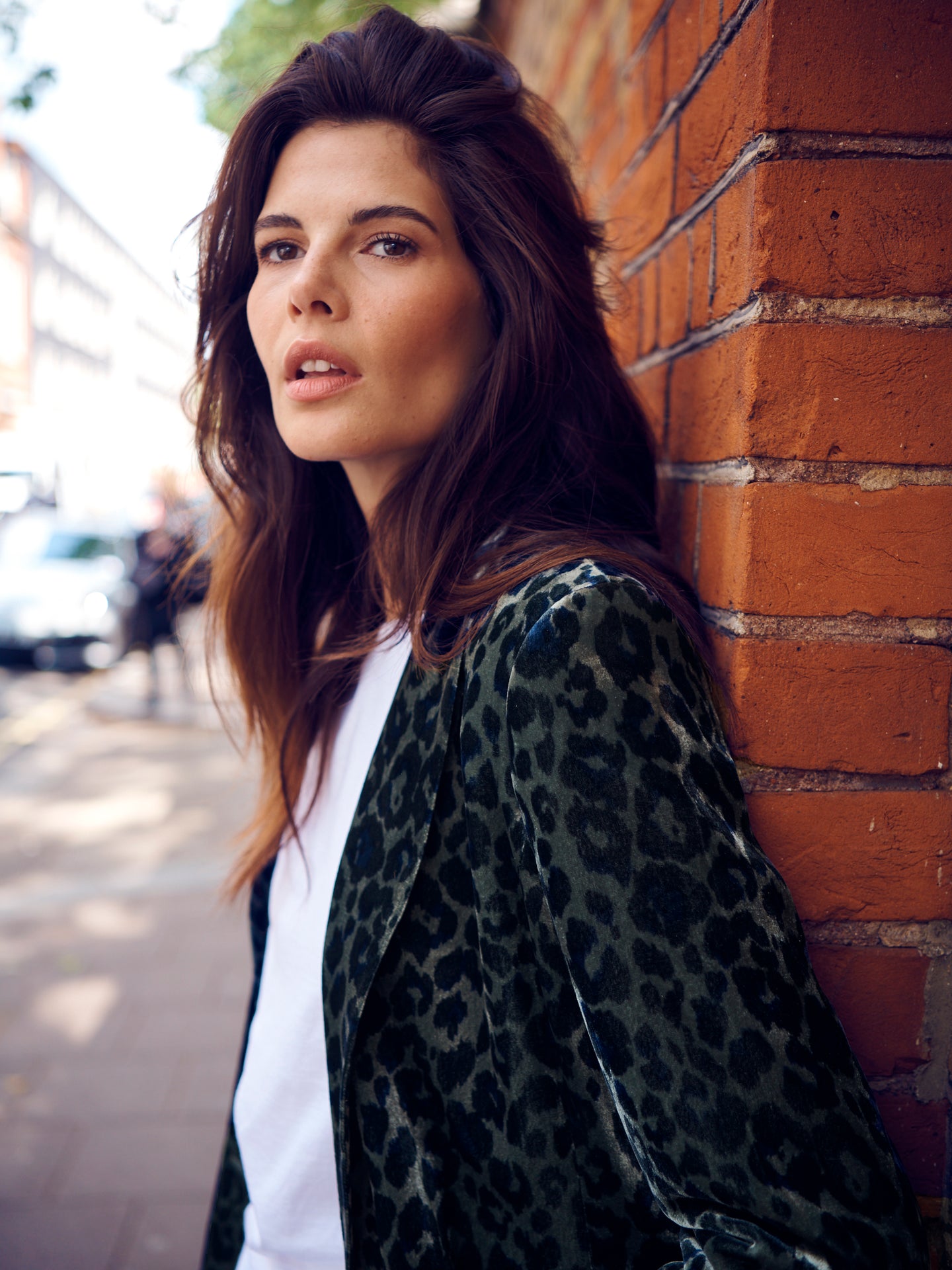 New May velvet animal print jacket - Khaki Animal Print