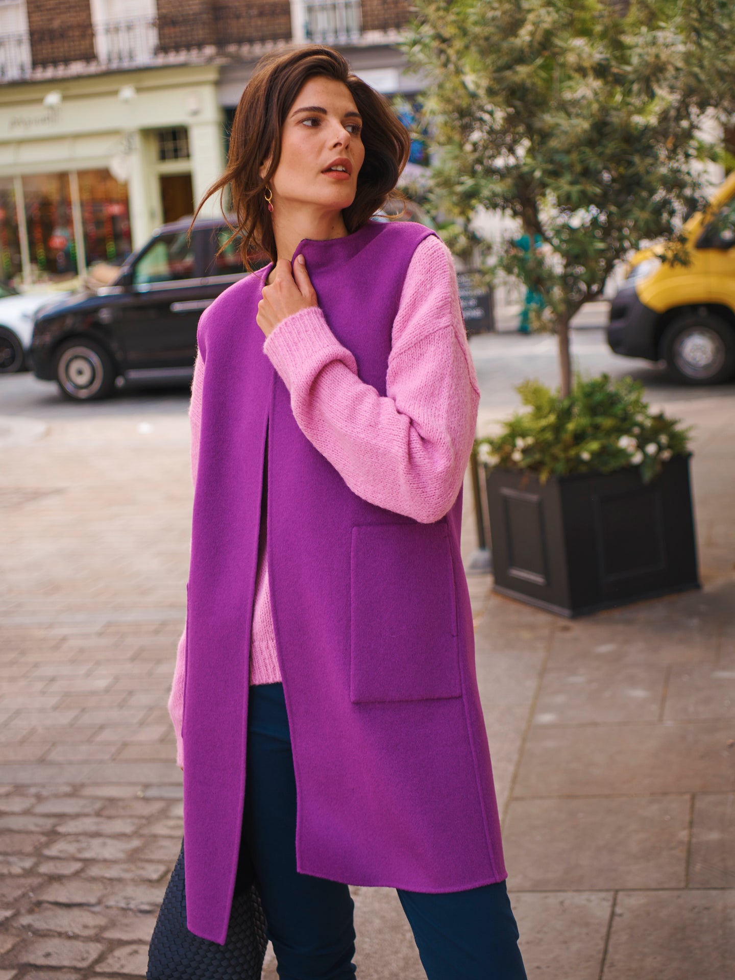 Audrey wool rich reversible sleeveless coat