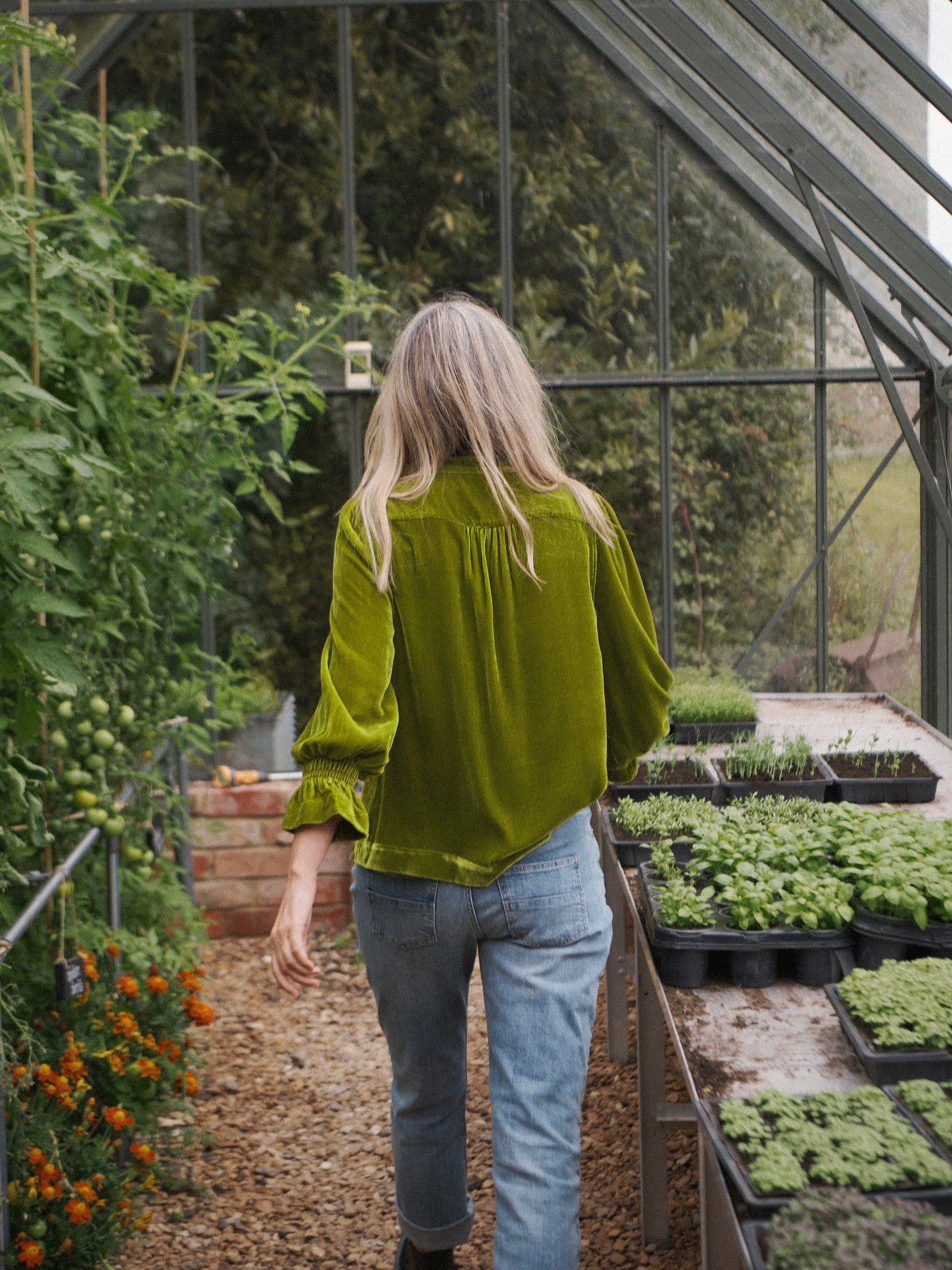 Toni velvet shirt - Chartreuse